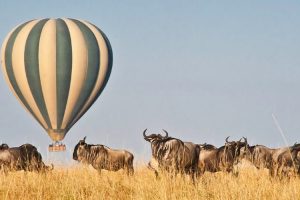 Balloon Safaris Masai Mara