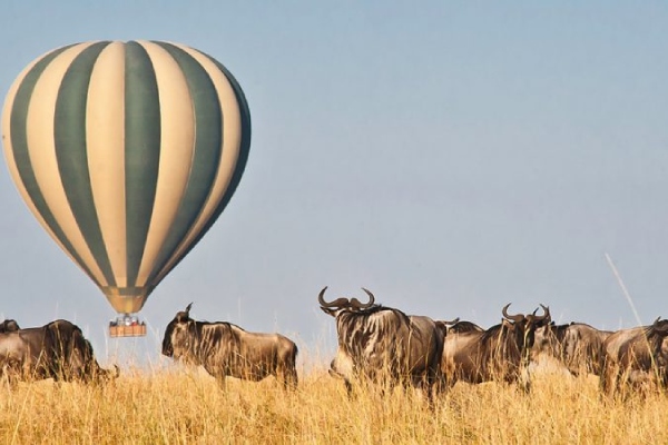 Balloon Safaris Masai Mara