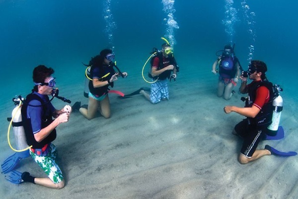 Best Scuba Diving Spots Mombasa