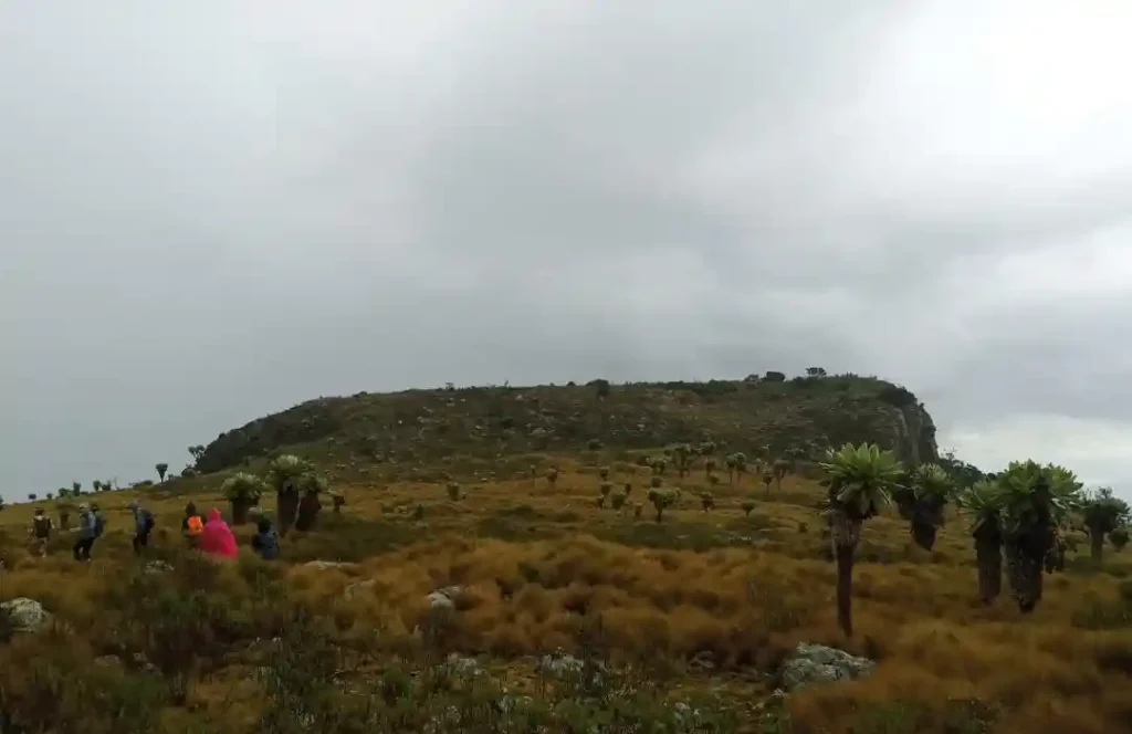 Hiking Safari Table Mountains Aberdares