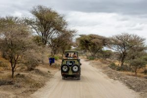 Masai Mara Road Safaris