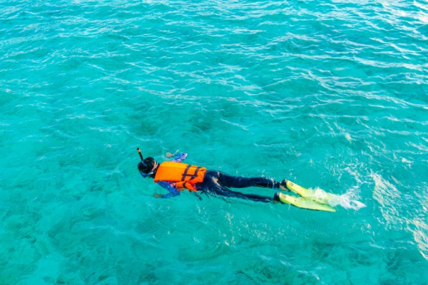 Watamu Beach Snorkelling Tours - Watamu