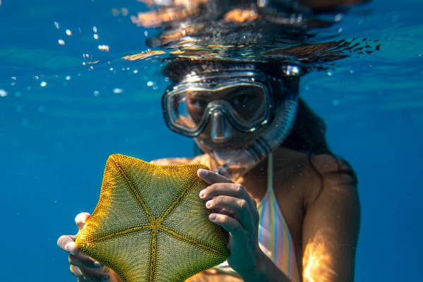 mombasa beach snorkelling tour