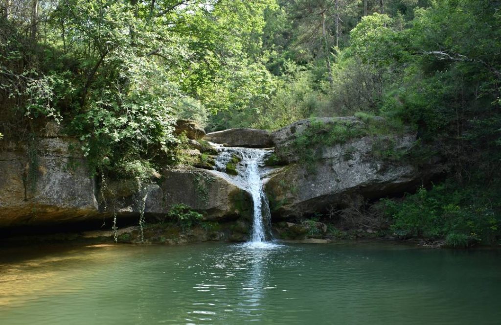 Blue Pools and Waterfalls of Ngare Ndare Forest