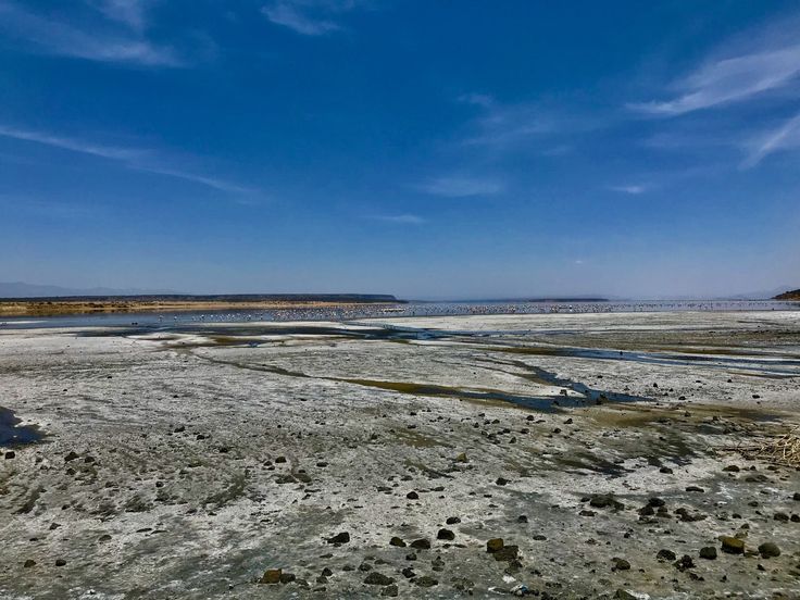 Kenya Road Safaris - Lake Magadi Road Safaris