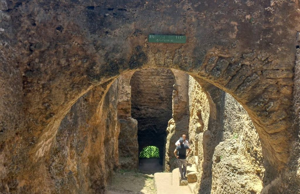 Coastal Attractions - Fort Jesus, Old town, Ferry, Mama Ngina Park, Tusks, Mombasa Day Trip Tour