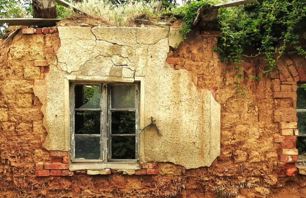 Coastal Attractions - Gede Ruins, Butterfly conservations, Road Safari - Watamu Day Trip Tour