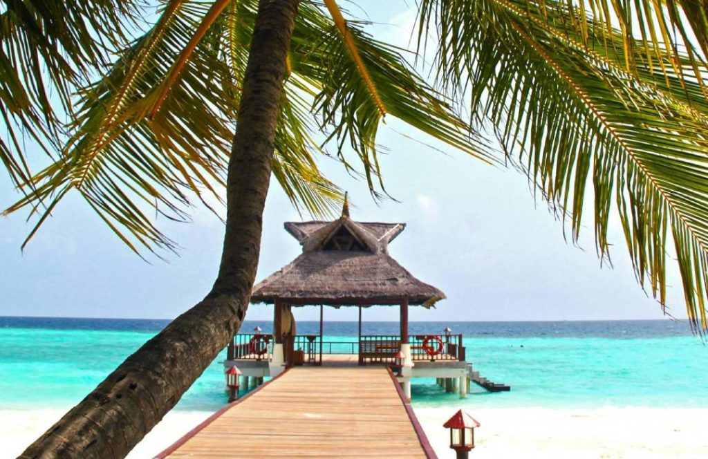 Kenya Luxury Safari - Flying, Luxury Beach Resorts, Sea facing Rooms, All Inclusive Meals, Swahili Culture, Min 4 Days 3 Nights - Diani