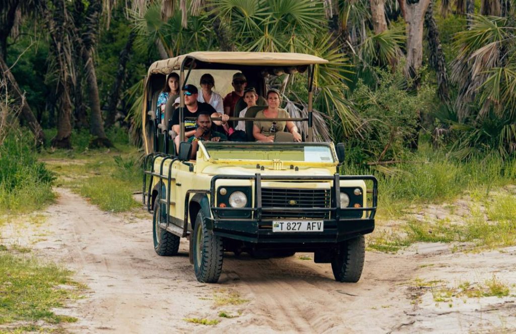 Kenya Midrange Safari - Lodge, Game drive, Masai Culture, Road Safari, Min 3 days 2 Nights - Masai Mara