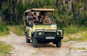 Kenya Midrange Safari - Lodge, Game drive, Masai Culture, Road Safari, Min 3 days 2 Nights - Masai Mara