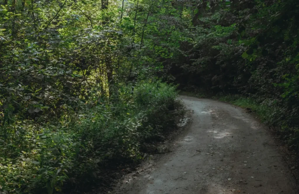 Kenya Walking Tours -Aboreteum Nature Walk Tours, Nairobi