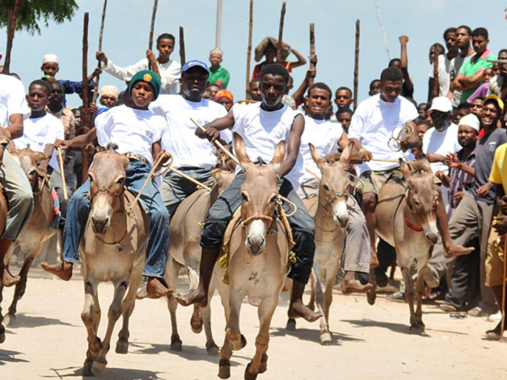 Lamu Donkey Race Tours in Kenya - Lamu Donkey Race Festivals