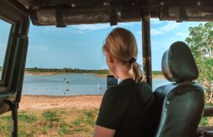 Overlanding Tours - Amboseli - Min 3 days 2 nights