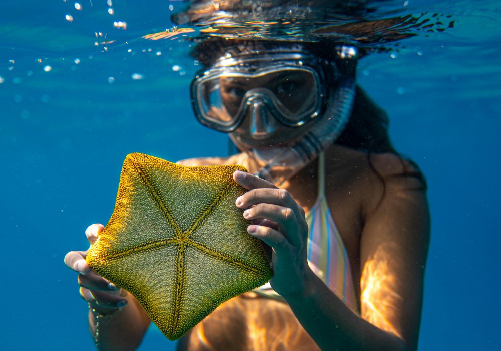 snorkeling tours in mombasa