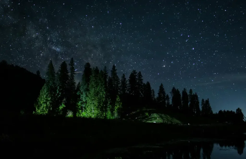 Night Safaris - Wildlife, Masai Mara - Min 4 Days 3 Nights