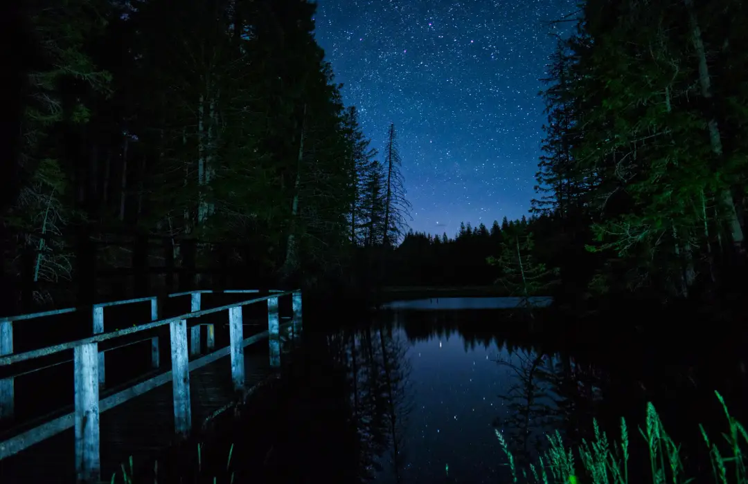 Nairobi National Park Night Safari