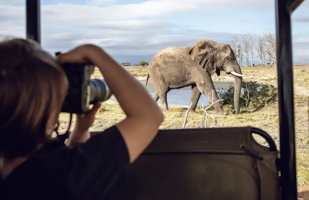 Research Safari - Wildlife, Masai Mara - Min 3 Days 2 Nights