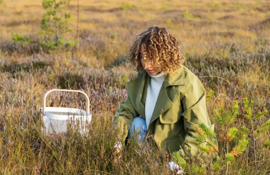 Bamm Safaris Research Safaris