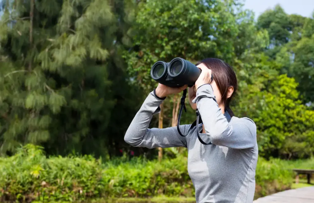 baecation Bird Watching