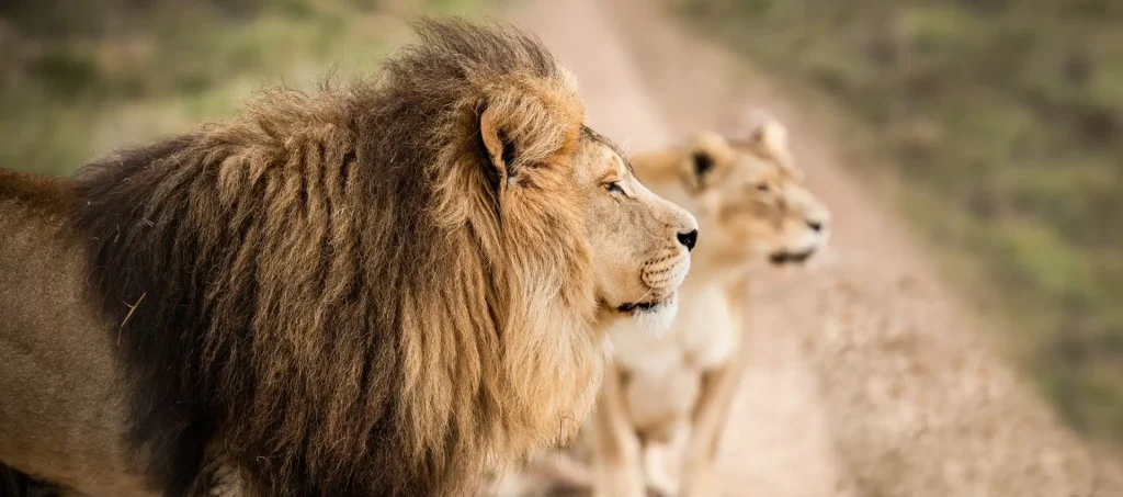 about baecation adventures