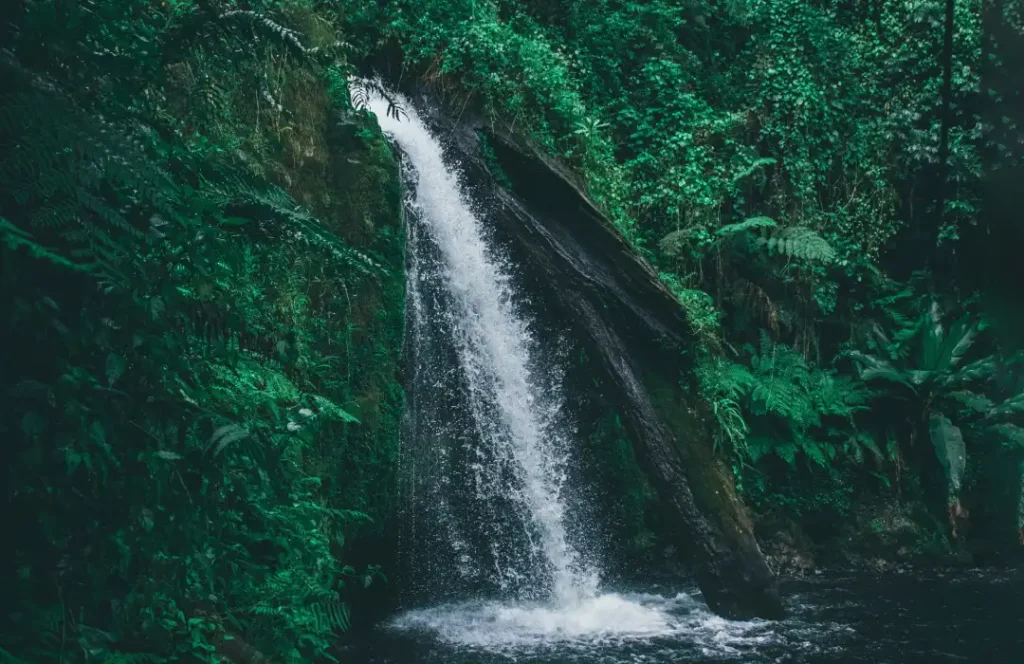 Satima Hike Safari Tours - Aberdares