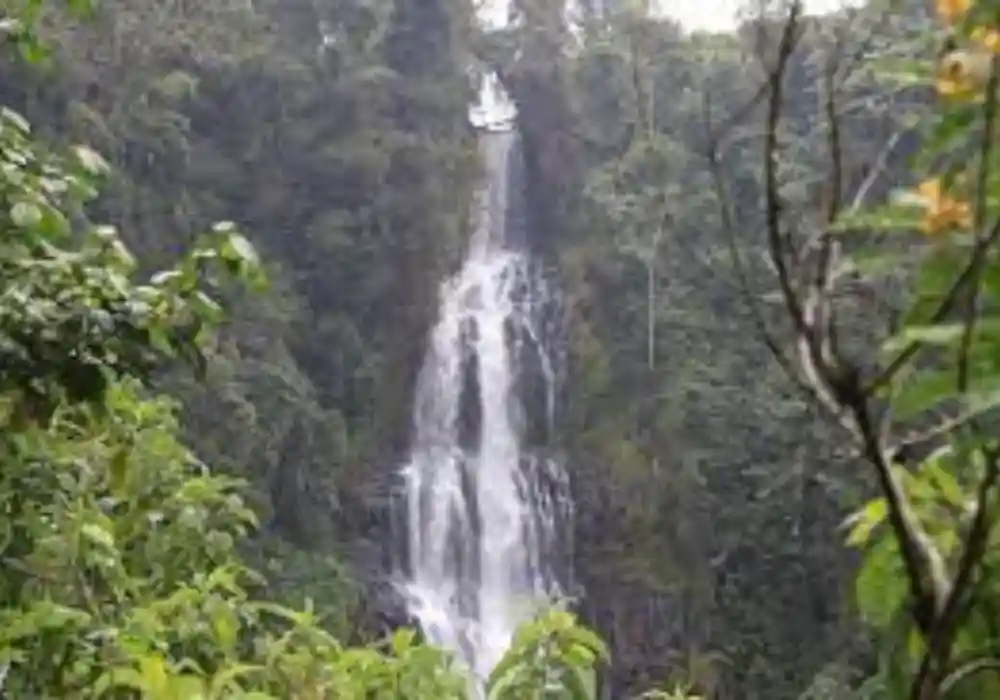 Hiking Tours - Zaina Falls - Nyeri