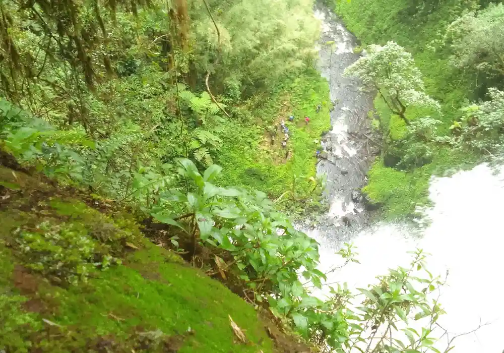 Hiking Tours - Kathandeini Forest