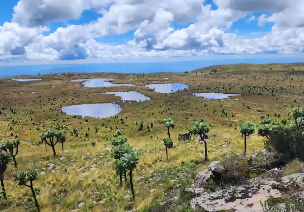 Hiking Tours - Seven Ponds - Abedares