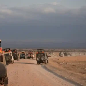 Amboseli Safari -Bamm-Safaris-Adventures