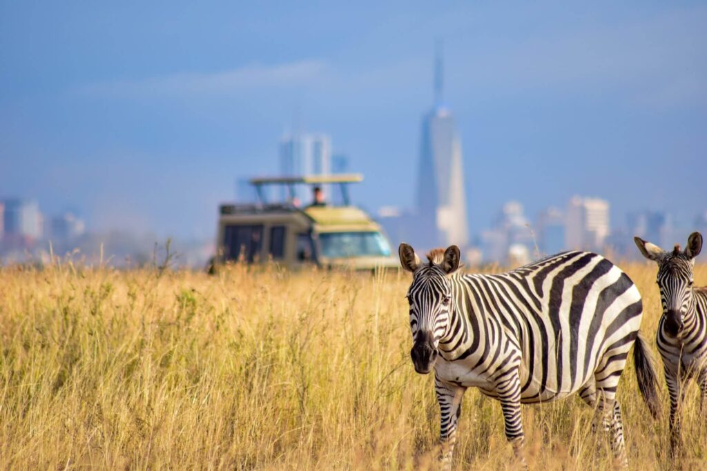 Nairobi National Park Tours safaris with Bamm Safaris Adventures Kenya