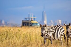 Nairobi National Park Tours safaris with Bamm Safaris Adventures Kenya
