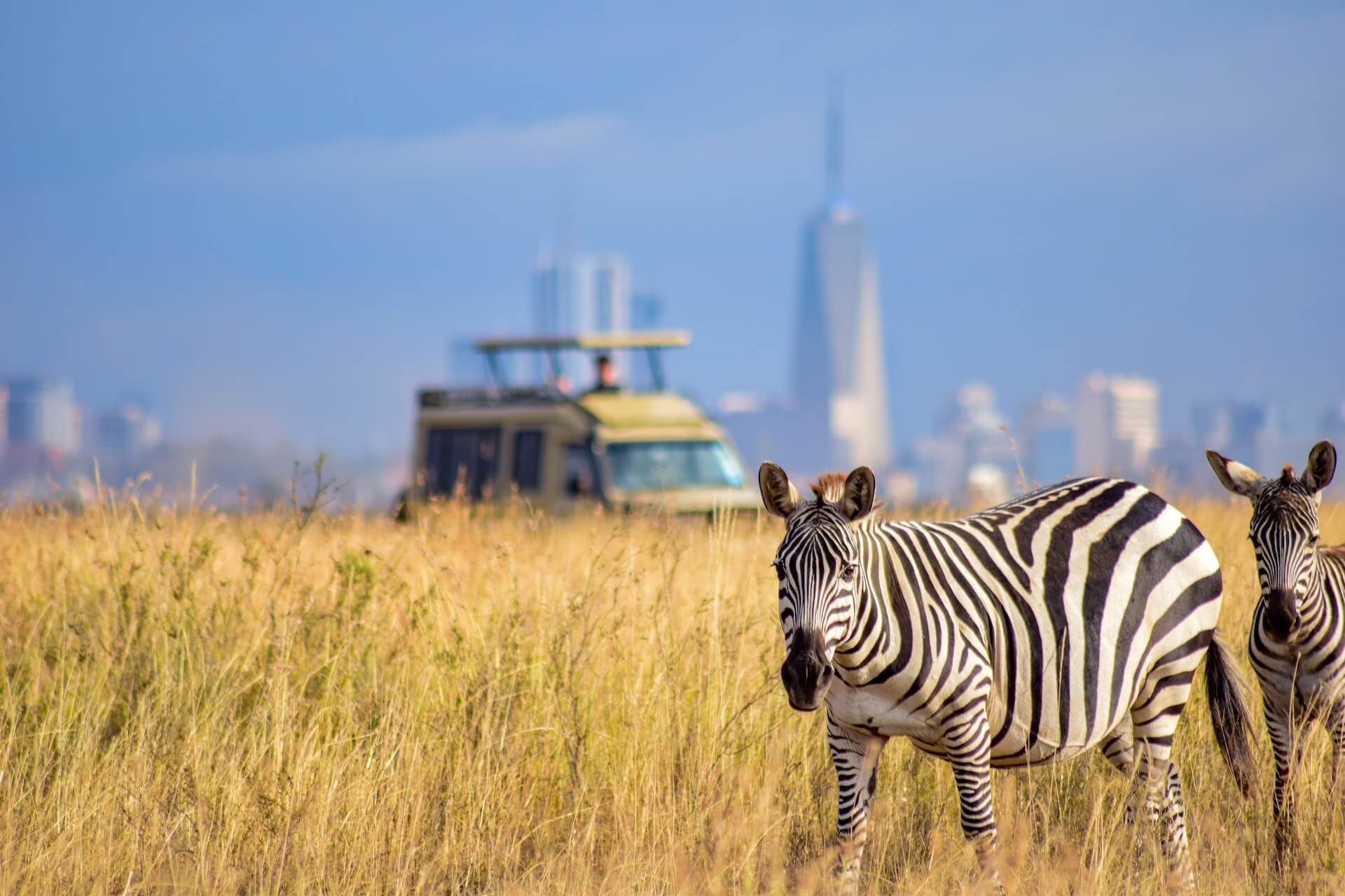 Nairobi National Park Tours safaris with Bamm Safaris Adventures Kenya