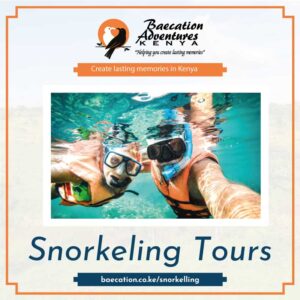 Best snorkeling tours in Kenya