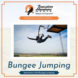 Bamm Safaris: Best Bungee Jumping Tours in Kenya