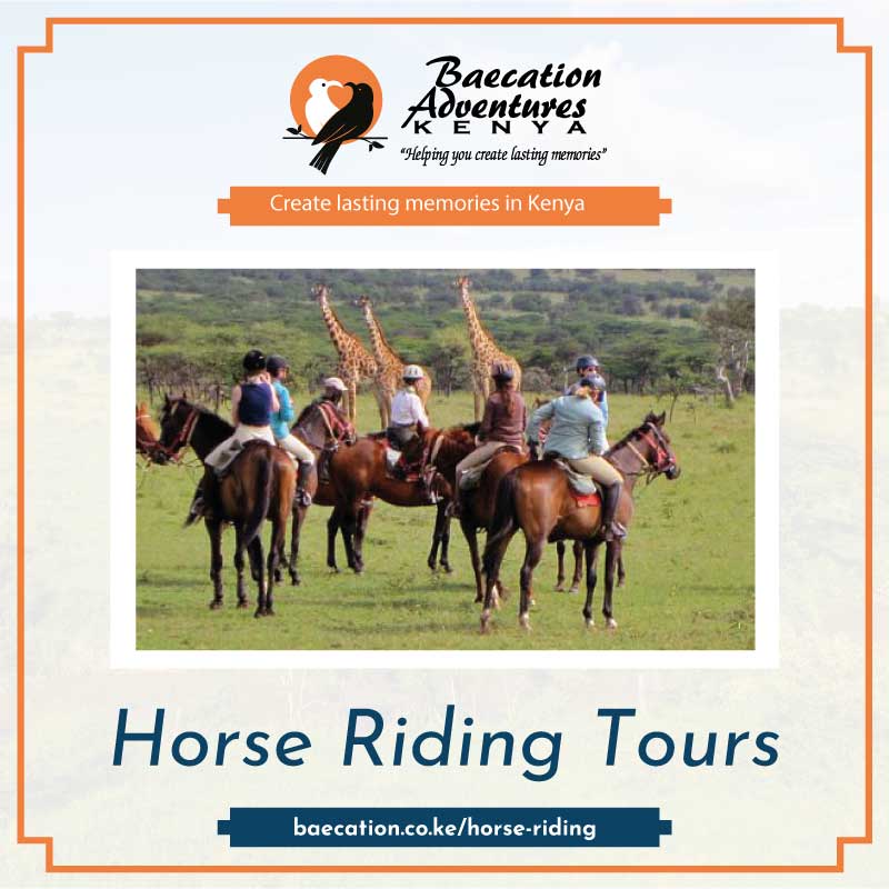 Bamm Safaris: The Best Horse Riding Tours In Kenya