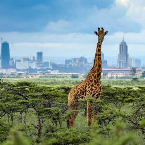 what do you need to enter nairobi national park