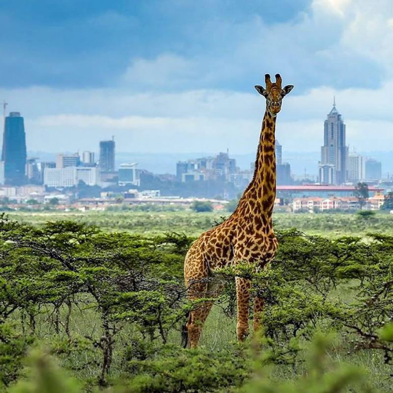 what do you need to enter nairobi national park