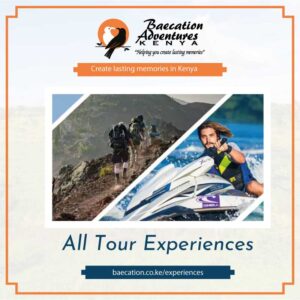 Bamm Safaris: The Best All Tour Experiences Tours in Kenya