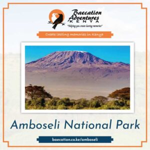 Bamm-Safaris-Safaris-Amboseli-National-Park