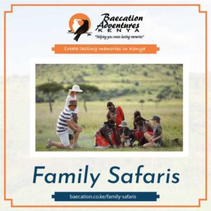 Bamm-Tours-Family-Safaris - Bamm Safaris Adventures