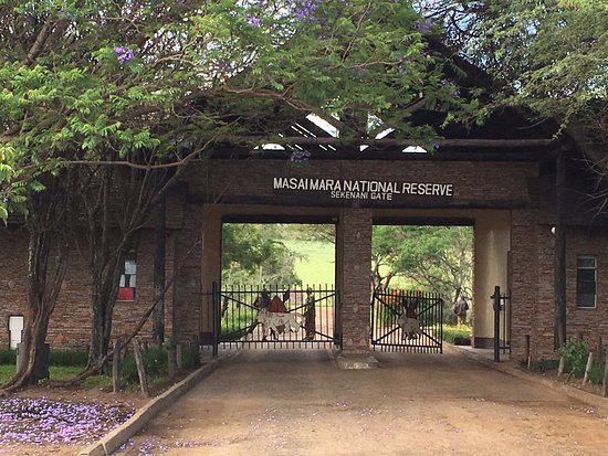 Explore Maasai Mara - Bamm Safaris Adventures