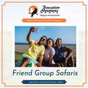 Friend group safaris