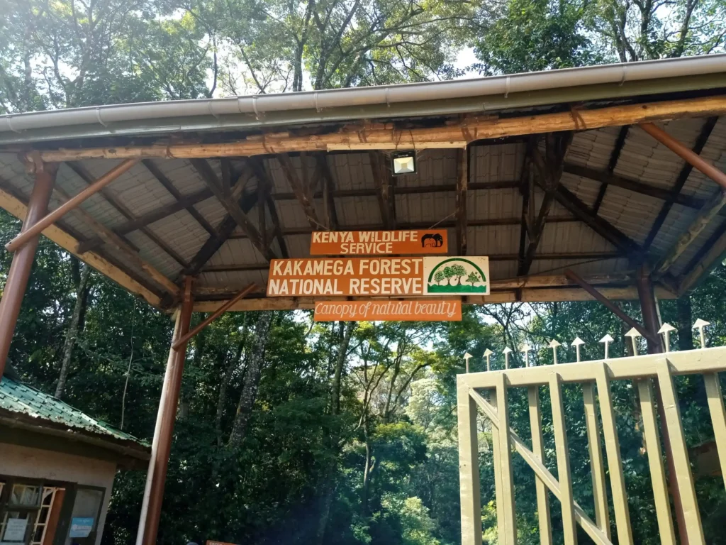 Kakamega Forest