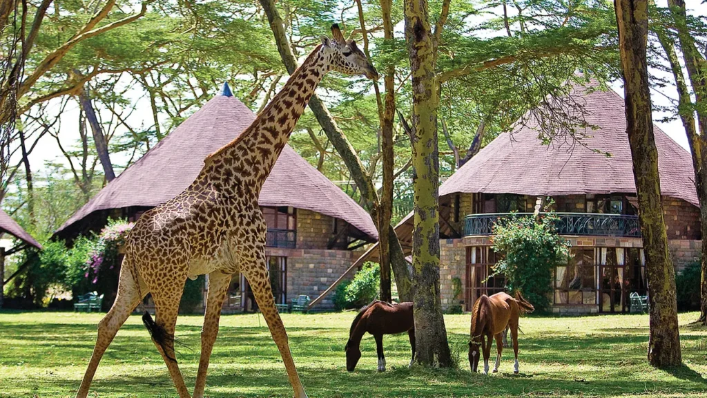 Best Lake Naivasha Tour Packages safaris - Bamm Safaris Adventures