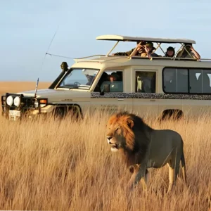 The Best Maasai Mara Safari Packages Adventures - Bamm Safaris