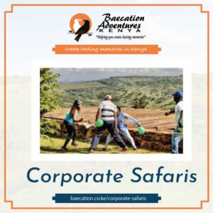 Corporate Safaris Adventures - The best Team building Packages in Kenya