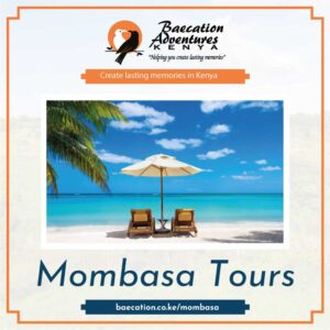 how-much-does-a-safari-in-mombasa-cost