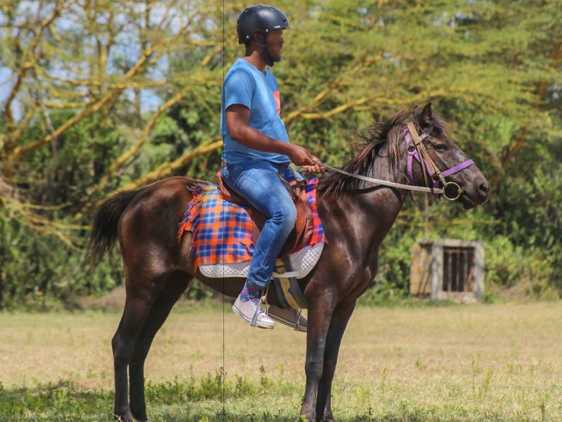 Best Horse Riding at BMM Bikes - Paco Thrill Haven - Naivasha