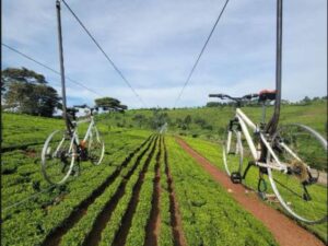 Sky Biking Tours at Twin Rivers Resort Tigoni with Bamm Safaris Adventures