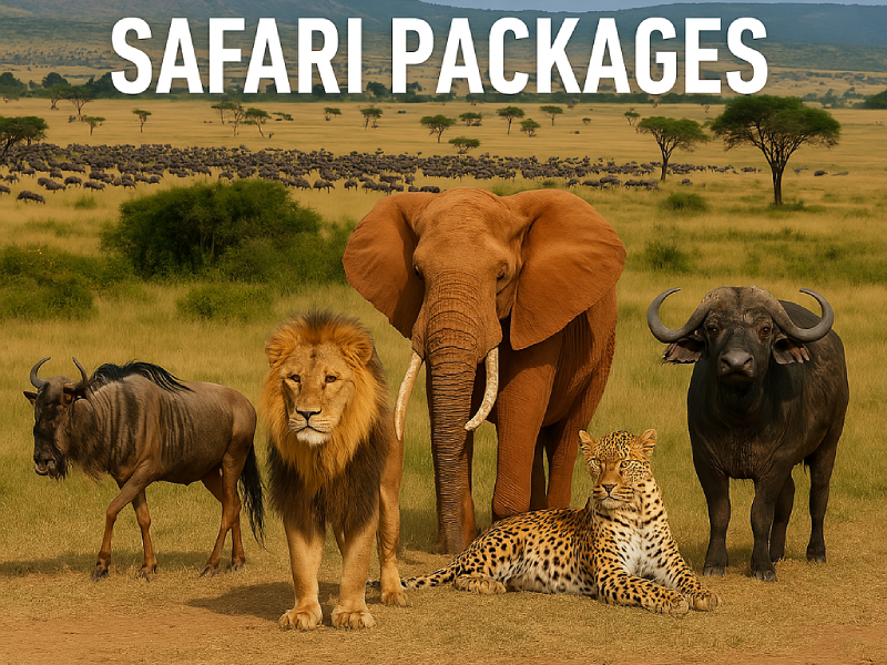 Best Masai Mara Safari Packages